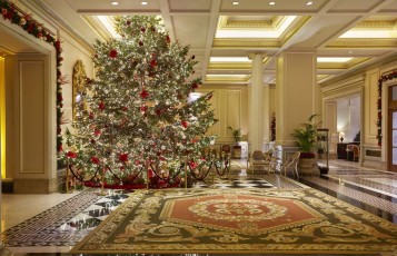 grande bretagne christmas tree lights 2023