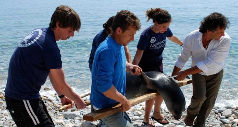 Ινστιτούτο Αρχιπέλαγος
