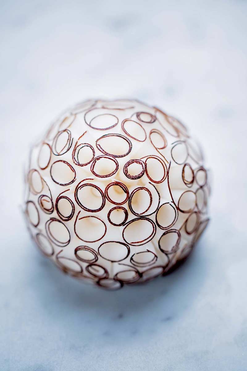 Fruits 4