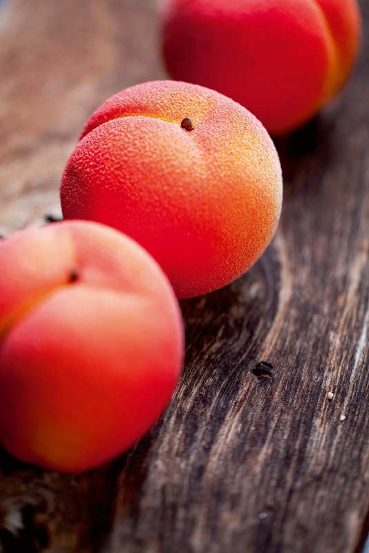 Fruits 5