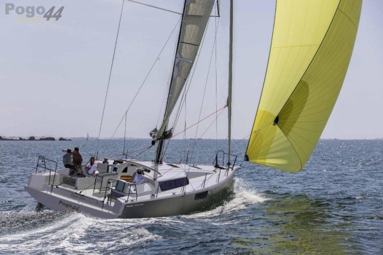 The New Pogo 44