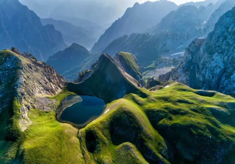 The House of the Dragons