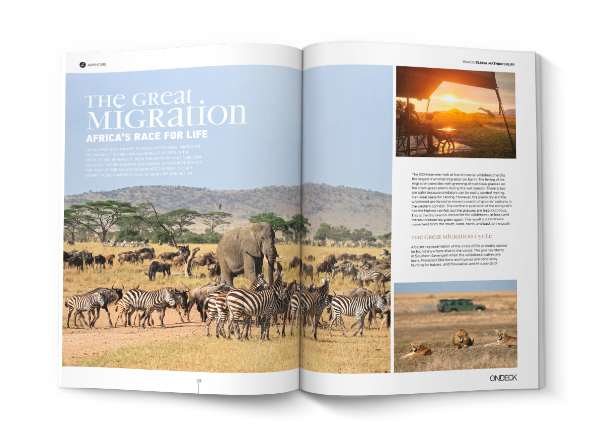 THE GREAT MIGRATION | AFRICA’S 
RACE FOR LIFE