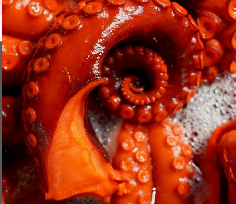 ΙΩΔΙΟ: Μία νέα γαστρονομική δράση στην καρδιά του Κολωνακίου