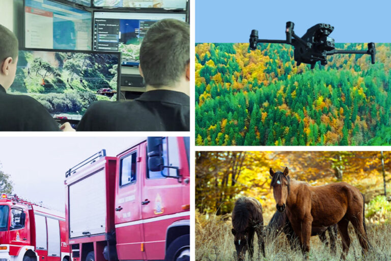 Η Rolex Συνεισφέρει στην Προστασία της Βάλια Κάλντα