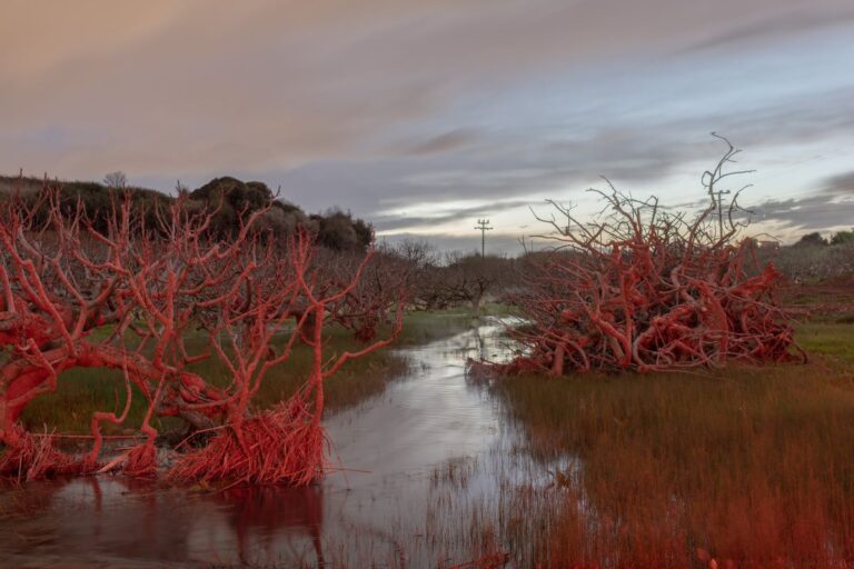 Έκθεση φωτογραφίας «Διαταραγμένα Εδάφη»