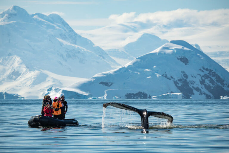 Outer Reef Yachts Partners with EYOS Expeditions to Unlock Extraordinary Journeys