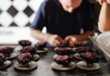 H Selene Vedema 2025 ολοκληρώθηκε με τεράστια επιτυχία