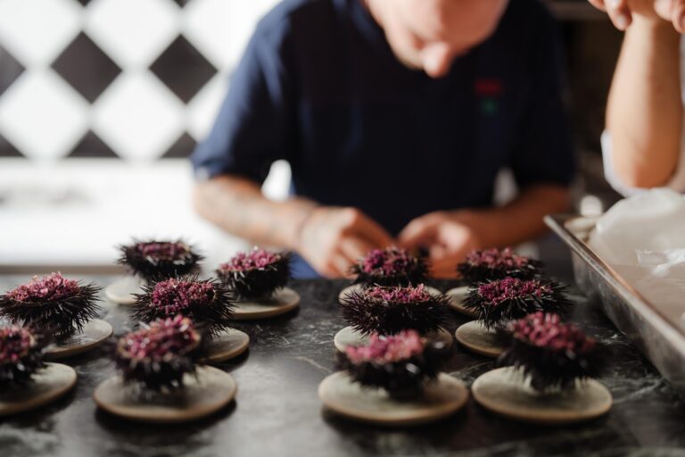 H Selene Vedema 2025 ολοκληρώθηκε με τεράστια επιτυχία