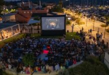 D-Marin summer events bring marinas to life and boost visitor numbers